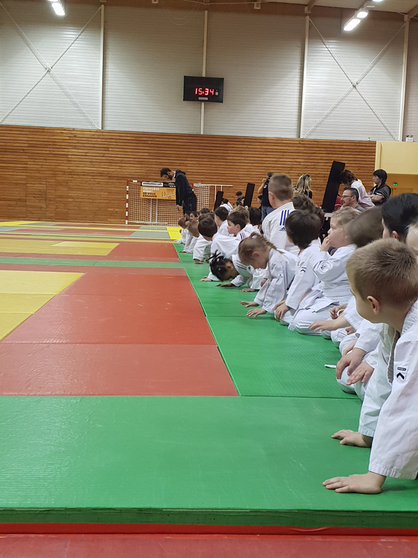 Jeunes judokas alignés au bord des tatamis